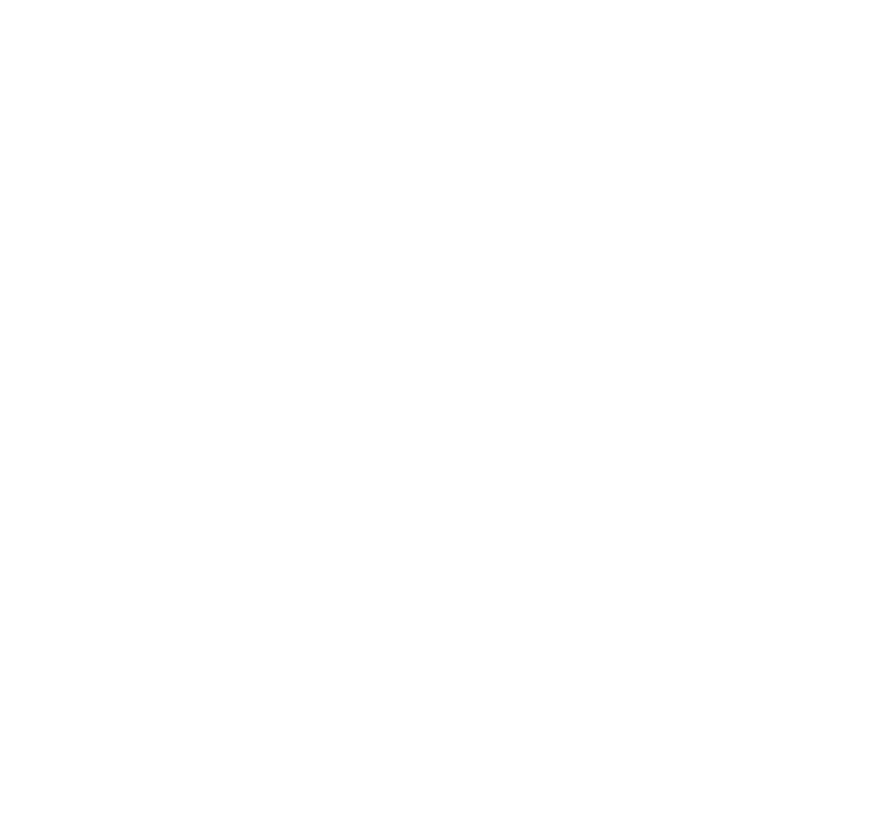 EchteWerte@2x